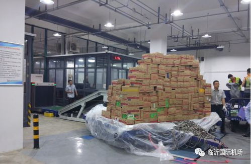 臨沂國際機場 打造區域性航空貨運樞紐，賦能特色農產品“飛”向全國